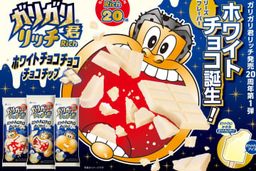 「ガリガリ君リッチホワイトチョコチョコチョコチップ」ホワイトチョコ尽くしのアイスキャンディー