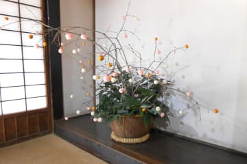 大和で小正月の風習再現　かつて養蚕農家で行われた「繭玉団子飾り」　1月14日まで市郷土民家園で