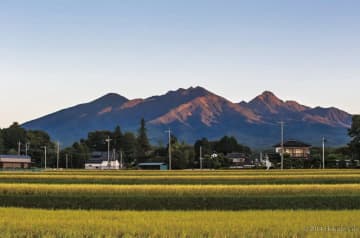 「地域で育てる」を形にする、子育てに伴走する北杜市のネウボラ【山梨県北杜市】