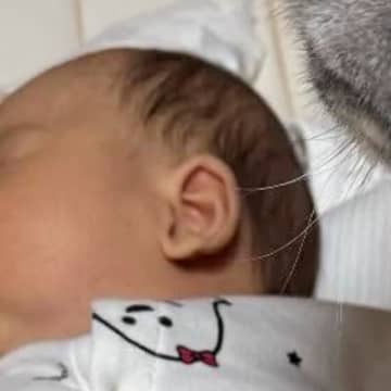 『赤ちゃんが寝ていると、猫が近くにやってきて…』次の瞬間→まさかの光景が可愛すぎると147万表示「見守ってるのかな」「圧かけてて笑う」