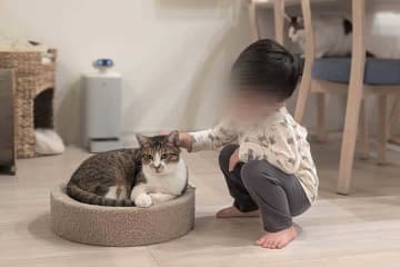 「“ねこ吸い”をして日々のストレスを発散している3歳児」　こなれた後ろ姿に2.7万“いいね”　「知ってしまったか…」