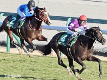 【シンザン記念】3年連続で優勝馬を輩出している注目のステップとは！？ステップレースで見る過去10年の傾向