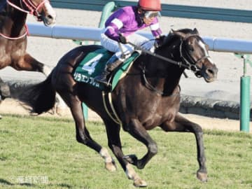 【シンザン記念】①人気は過信禁物！最も好調なのは何番人気！？過去10年の傾向から見る人気と配当