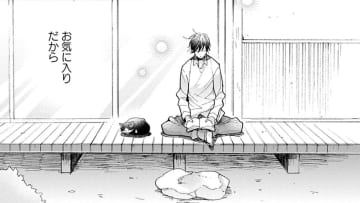 【猫視点】この場所は、いいおひるね場所もあるしごはんもくれるし、わりとお気に入りなんだからね【同居人はひざ、時々、頭のうえ。 #33】