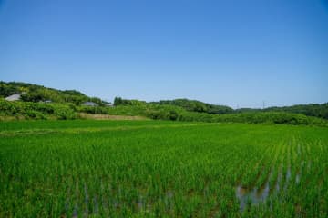 田舎の両親が生前「放置していた畑」を勝手に近隣の農家に貸していたことが相続時に判明！ 「相続税」が高くつく可能性もあるって本当？