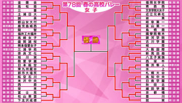 【高校バレー女子】決勝カードが決定　金蘭会がフルセットの激闘制する　就実はストレートで快勝