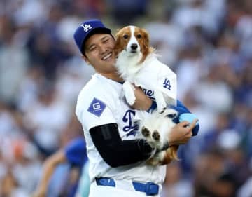 大谷翔平、愛犬デコピンと"まさかの場所"でお遊び→ファン歓喜「いきいきしてる」「もうMVPあげたい」