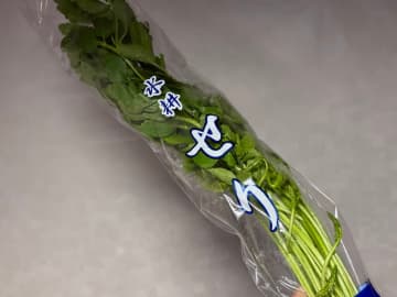 人気上昇中の「せり」は冷凍保存できる？おいしい食べ方は？八百屋が解説