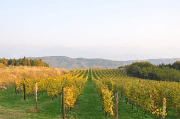 信州の酒を巡る鉄道スタンプラリー第6弾、1月16日から