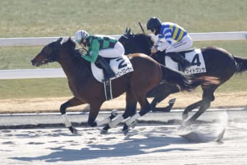 【新馬/京都3R】坂井瑠星騎乗 ビービークローサーがデビューV