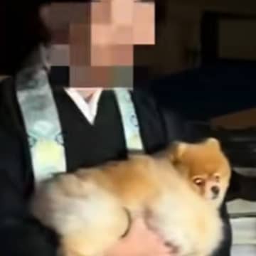 『推しのお坊さん』と半年ぶりに再会した犬→まさかの『一緒に年越し』することになり…幸せな光景に反響「煩悩の塊ｗ」「おとなしくてエラい」