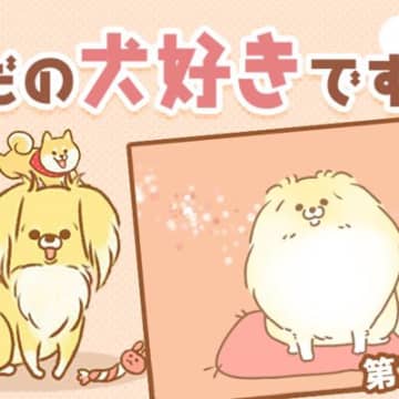 ただの犬好きです。【第344話】「2026」