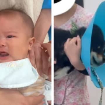 赤ちゃんの予防接種と犬の狂犬病注射へ→似たもの同士すぎる『それぞれのリアクション』が212万再生「なにこの天使たち」「同じで可愛いｗ」