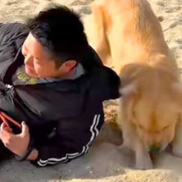 散歩で海にやってきた男性と大型犬→猛ダッシュした結果…思わず吹き出す『まさかのハプニング』が190万再生「事故で草」「全部フルパワーｗ」