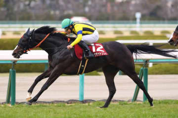 シングザットソングが引退、繁殖入り