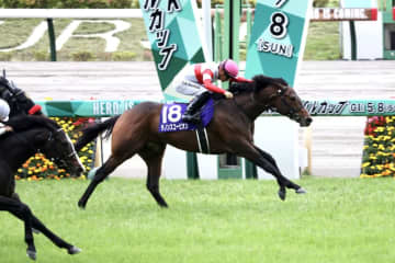 ダノンスコーピオンが南アフリカで種牡馬入り