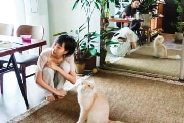 “キム・ミニ×もふもふの猫” 元女優と老詩人が綴る、交わりそうで交わらない一日の物語『私たちの一日』