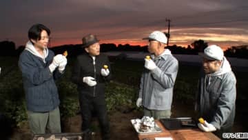 「相葉マナブ」、鎧塚俊彦流レシピで絶品さつまいもスイーツ作り