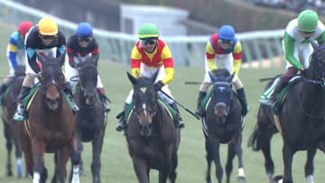 【フェアリーS】春クラシック戦線へ！豪脚自慢から母譲りの良血馬まで未来のスター候補たちが中山競馬場に集結！