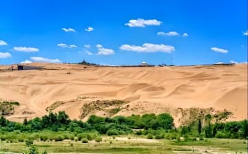 中国がモンゴルに提供の砂漠化対策技術、「遊牧文化の救世主か破壊神か」と米誌