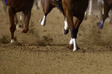 21馬身半差の圧勝劇「のんびりと走り回って…」　海外3歳牝馬に仰天「信じられない」