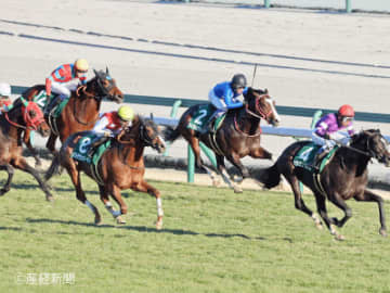 【シンザン記念】軸は4年連続馬券圏内の③人気か！？3連単を的中させる軸馬・相手馬の狙い方