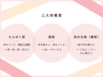 健康の基本である三大栄養素、体に必要不可欠な理由とは？【ひとり暮らしの栄養手帖】