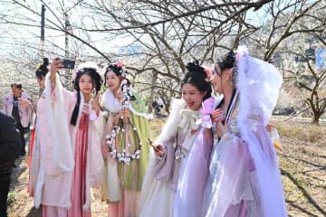 梅の名所に多くの花見客　中国福建省