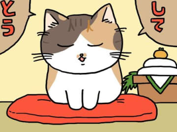 ミー子からごあいさつ。2026ver.【てらねこミー子の日常】