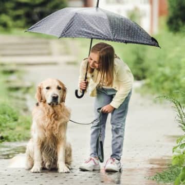 犬を飼ってわかる『理想と現実』4つ　後悔しないために絶対知っておくべきことや心得まで