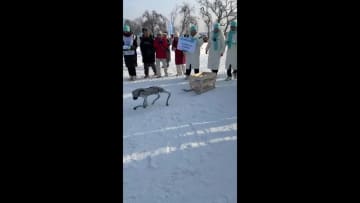 ロボットの氷雪競技会開催、そりやスキーで競い合う　中国・長春市