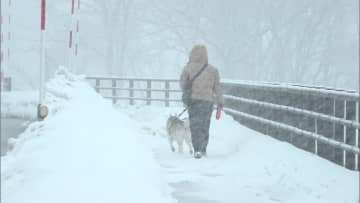 12日も大雪や“台風並み”暴風続く見込み　強風で「神戸ルミナリエ」一部が倒壊