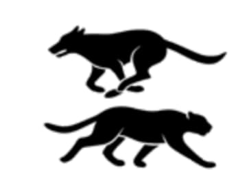 雑食化が遅すぎた？ ”地球最強クラスのクマ”が消えた原因とは！？【図解 絶滅動物の話】