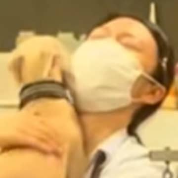 久しぶりにトリミングサロンのお姉さんに会った犬→飼い主には目もくれず…『喜びを爆発させる様子』が15万再生「コミュ力高ｗ」「優しい人」