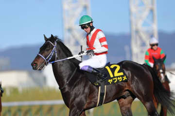 【淀短距離S】武豊ヤブサメが矢のような伸びで快勝