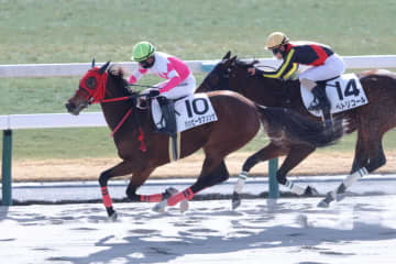 【新馬/京都2R】バンドワゴン産駒 ハッピーラブソングがデビューV