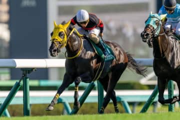 ホウオウラスカーズが登録抹消、繁殖入り