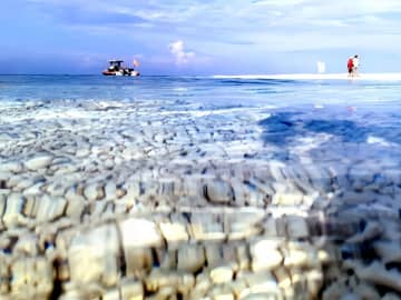 中国近海の海水熱含量が過去2番目の高水準に、台風など海洋災害への影響が懸念