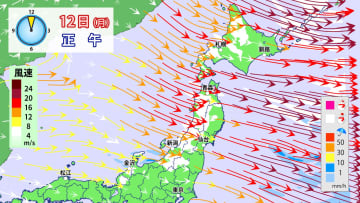 12日成人の日　北・東日本は荒れた天気続く　暴風・暴風雪・高波に警戒