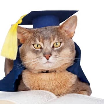 厳しい勉学を支えてくれた愛猫に「マントと角帽」をプレゼント　大学院卒業の記念撮影も一緒に　マレーシア