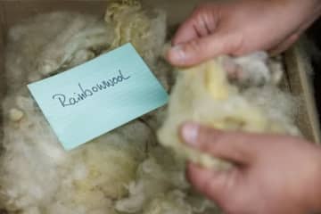 モデルたちの服はすべて…"殺されるはずだった"羊からできたウール製。斬新なランウェイに脚光