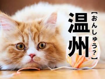 【温州】なんて読む？「おんしゅう」ではありませんよ！【読めそうで読めない漢字クイズ】