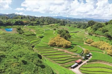 【近畿エリアのオススメ物件】築150年の趣ある古民家を発見！ ちょうどよい広さで畑付き【大阪府千早赤阪村】大阪市内へ約1時間の村でスローライフ