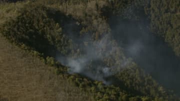 神奈川で山火事発生し火元の山小屋が全焼　群馬では山火事で約2万平方mに延焼　いずれも鎮火のめど立たず