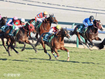 【シンザン記念】キャリア1・2戦のノーザンファーム生産馬以外は馬券外！買ってはいけない馬券とは！？