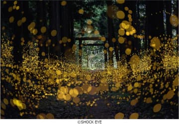 “歩くパワースポット”ならではのエネルギーに満ちた湘南乃風・SHOCK EYE写真展「和景讃歌」