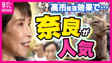 “サナ活”で盛り上がる奈良　土産物店ではグッズがずらり　高市総理のカード付き「サナ活ランチ」は7割が予約　追い風の一方で逆風も