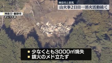 関東各地で山火事発生　消火活動続くも…鎮火のメドたたず