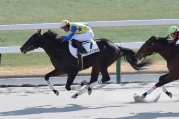 【京都5R】1番人気ライトオブヌカタが2勝目