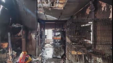 保護猫20匹が犠牲に…富山県高岡市で7棟燃えた火災、火元は行方不明の84歳男性宅か